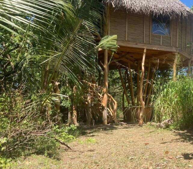 پانسیون Aloha Beach Resort