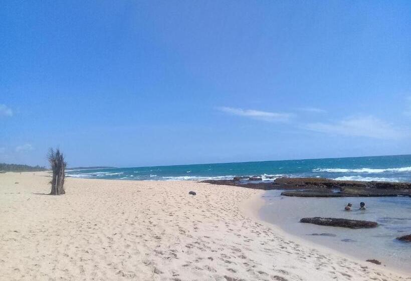 پانسیون Aloha Beach Resort