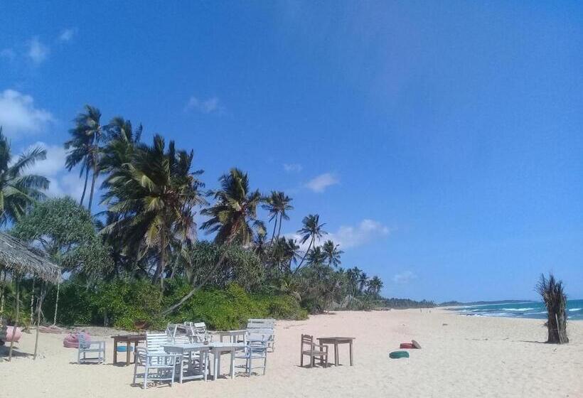 پانسیون Aloha Beach Resort