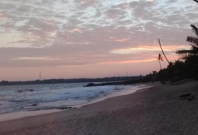 پانسیون Aloha Beach Resort