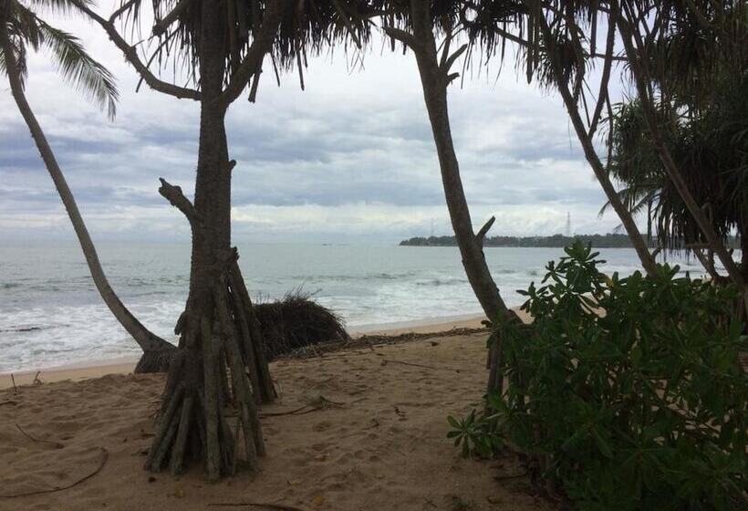 پانسیون Aloha Beach Resort