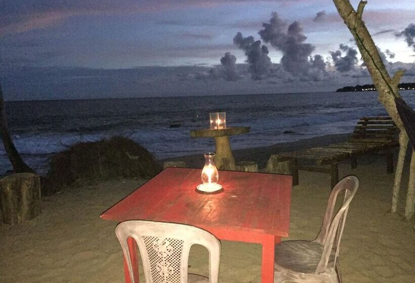 پانسیون Aloha Beach Resort