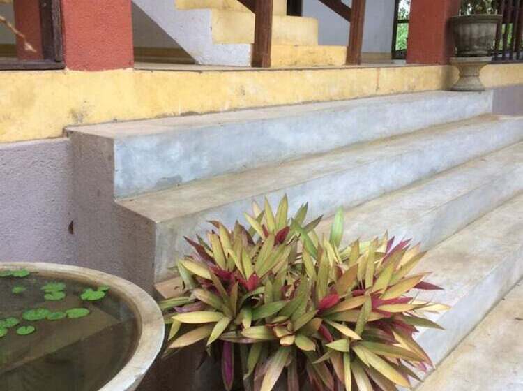 پانسیون Aloha Beach Resort