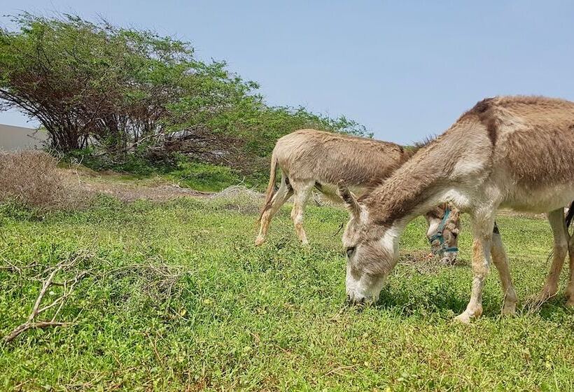 Villa Maris Ecolodge
