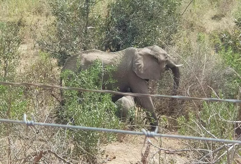 Retkeilymaja Homebase Kruger