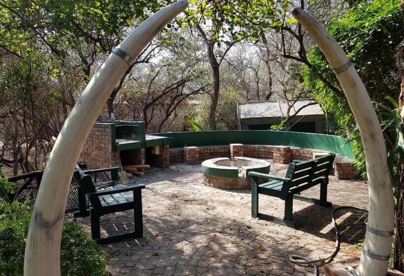 Herberge Homebase Kruger