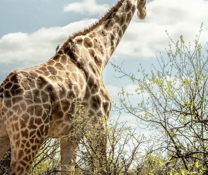 Herberge Homebase Kruger