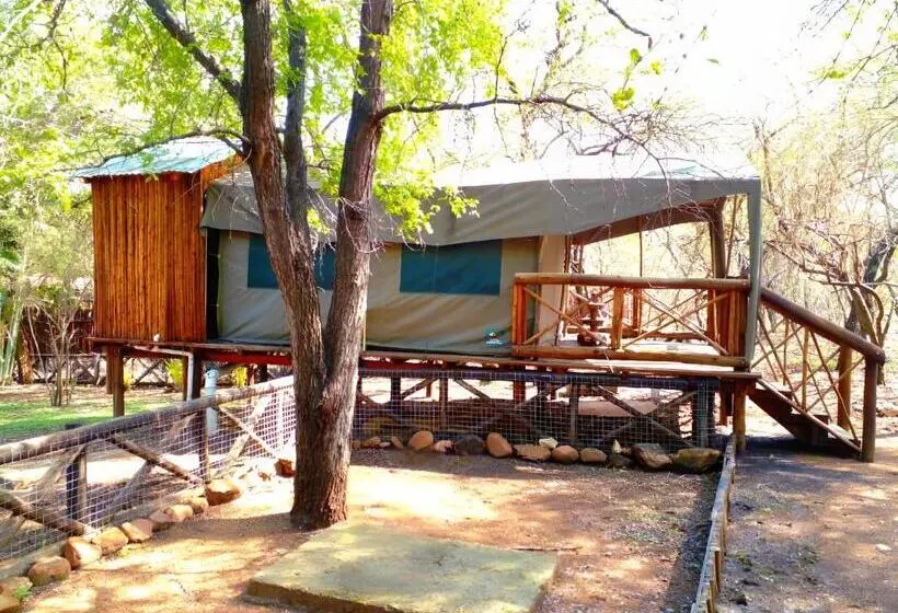 ユースホステル Homebase Kruger