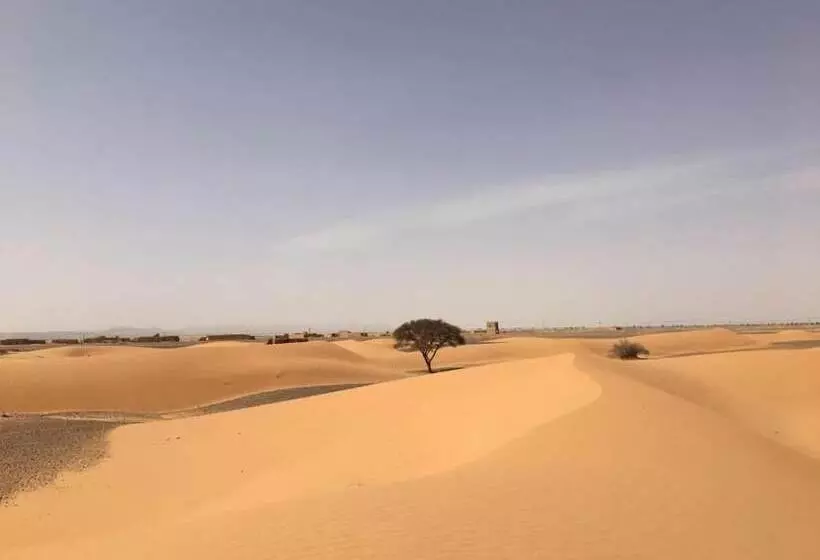 Khamlia Desert Bed & Breakfast