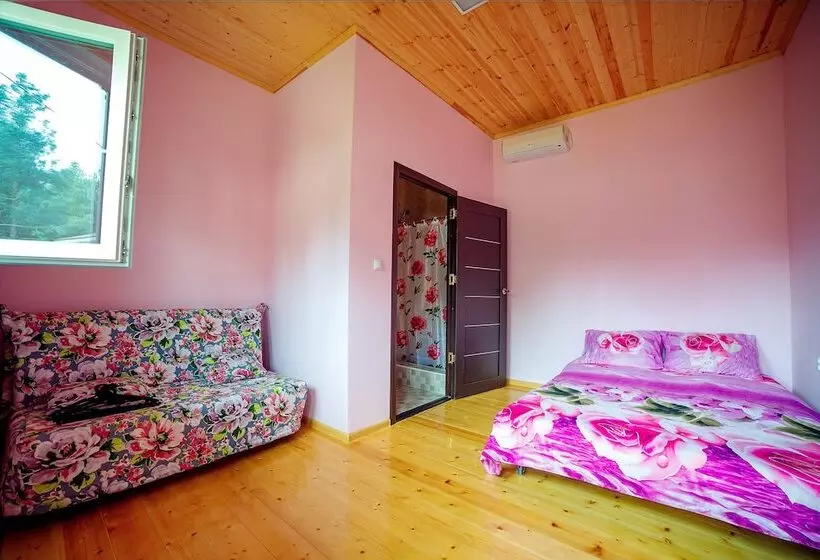 پانسیون Green Zone