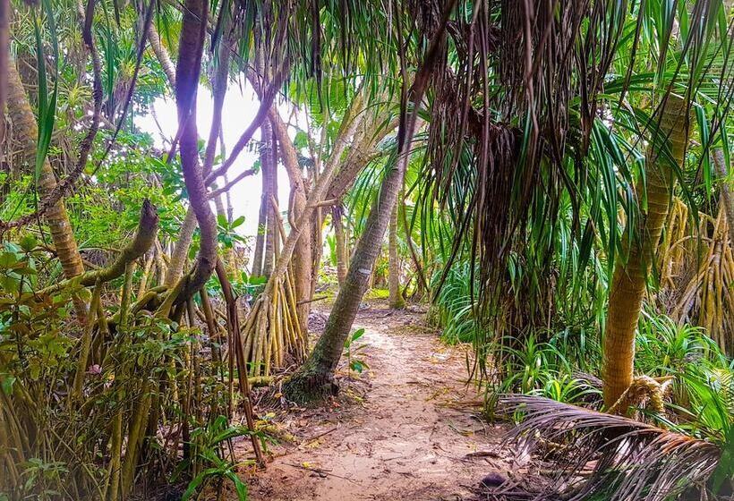 Pensão Lali S Hikkaduwa Homestay