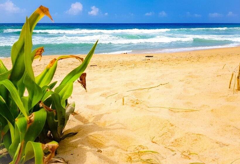 Pensão Lali S Hikkaduwa Homestay