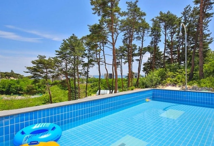 Gangreung Rosepension