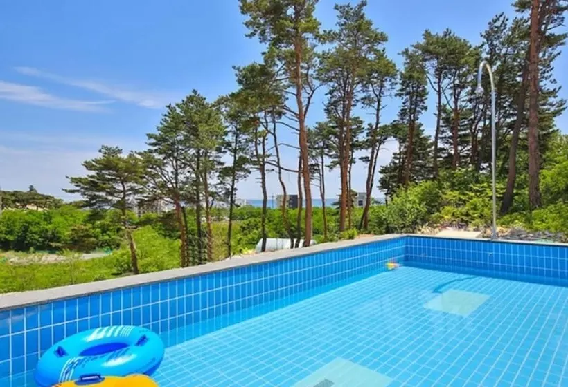 Gangreung Rosepension