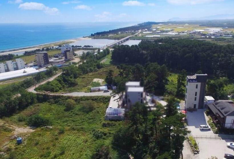 Gangreung Rosepension