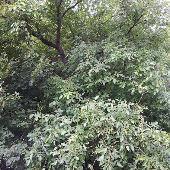 ペンション Das Haus Am Hang