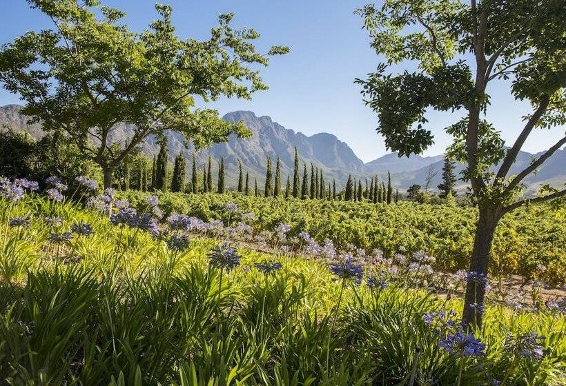 ペンション La Providence Guest House & Wine Farm