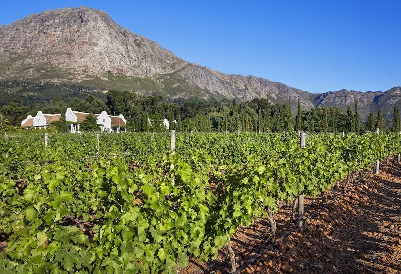 ペンション La Providence Guest House & Wine Farm