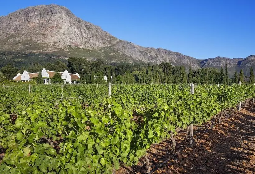 Majatalo La Providence Guest House & Wine Farm