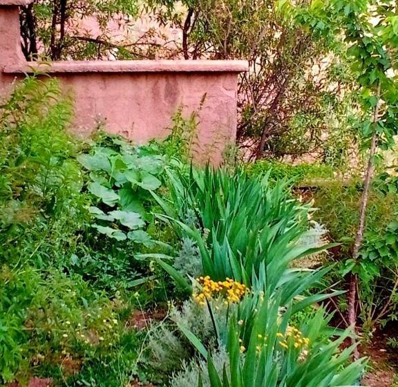 ریاض Toubkal Ecolodge