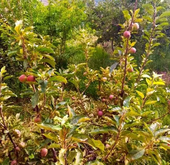 Riad Toubkal Ecolodge