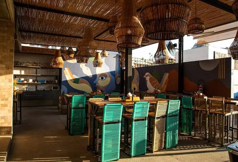 هاستل Mayan Monkey Los Cabos | Social