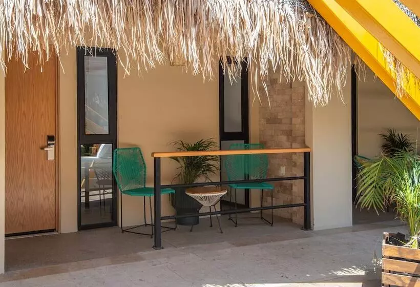 هاستل Mayan Monkey Los Cabos | Social