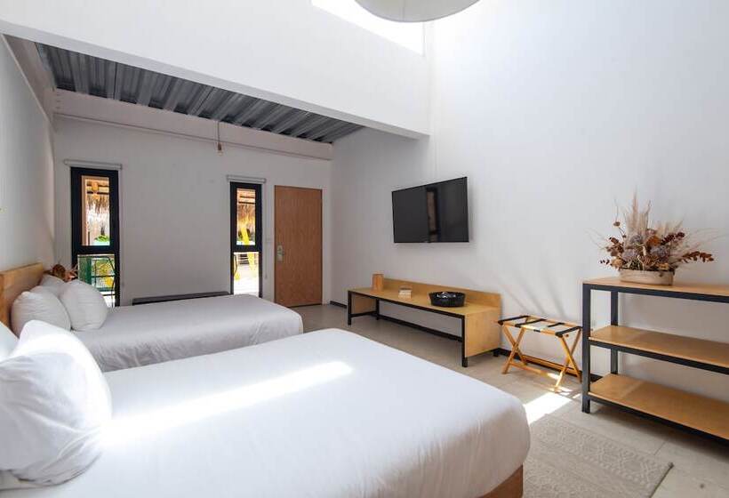 ユースホステル Mayan Monkey Los Cabos | Social