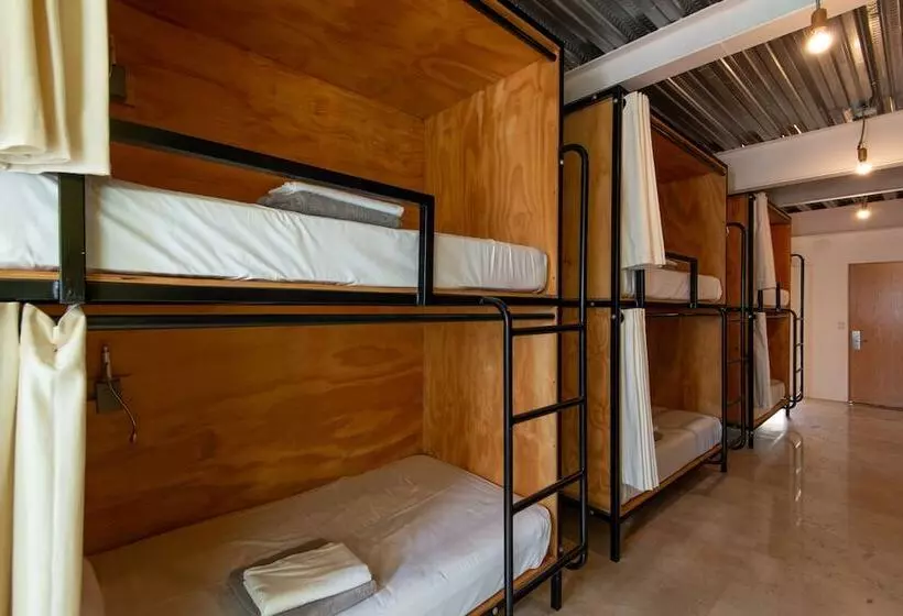 هاستل Mayan Monkey Los Cabos | Social