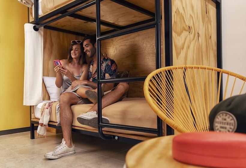 ユースホステル Mayan Monkey Los Cabos | Social