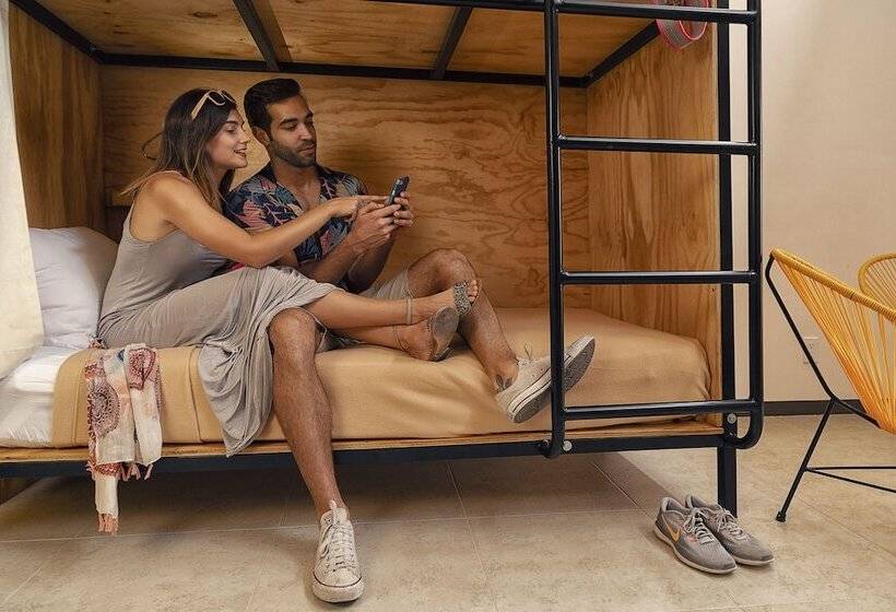 ユースホステル Mayan Monkey Los Cabos | Social