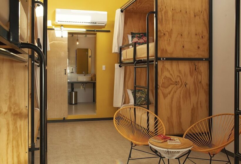 ユースホステル Mayan Monkey Los Cabos | Social