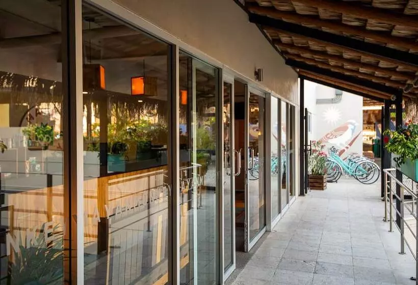 هاستل Mayan Monkey Los Cabos | Social