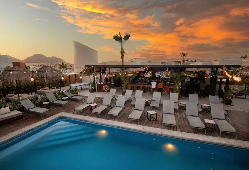هاستل Mayan Monkey Los Cabos | Social