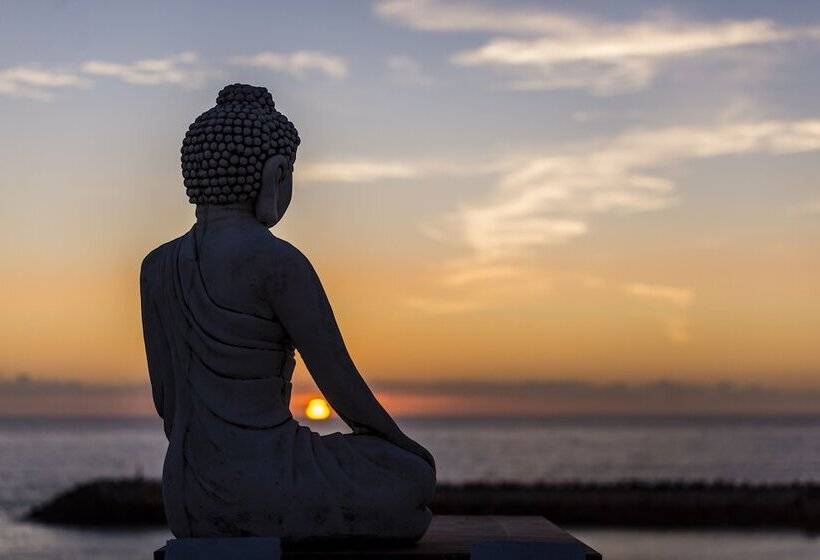 مبيت وإفطار Sandhi House Yoga & Wellness