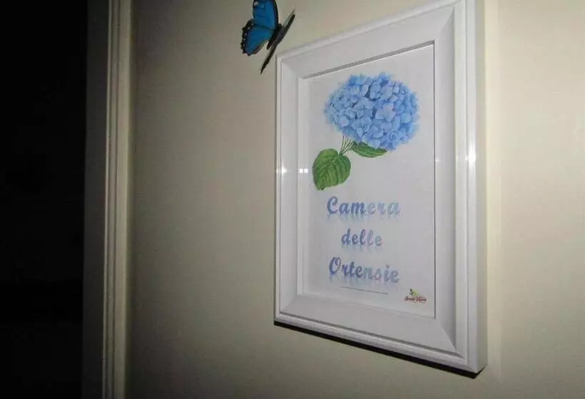 Bed & Breakfast Stradanuova