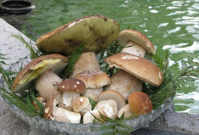 Hotel Albergo Centrale Forni