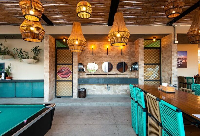 ユースホステル Mayan Monkey Los Cabos | Social