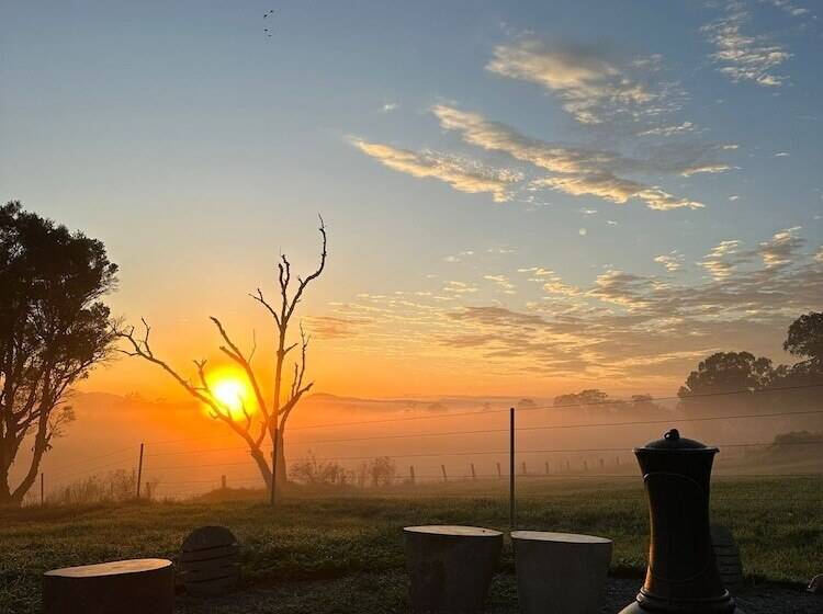 汽车旅馆 Vacy Hunter Valley Lodge