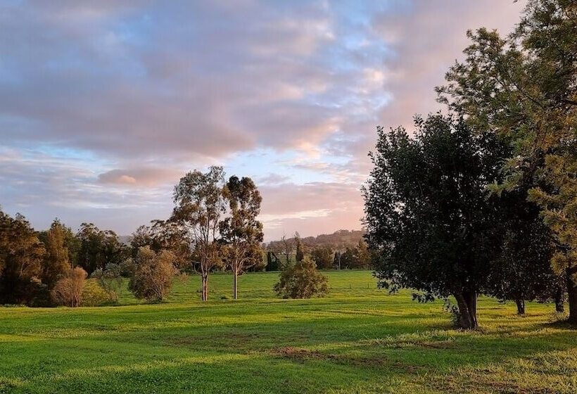 汽车旅馆 Vacy Hunter Valley Lodge