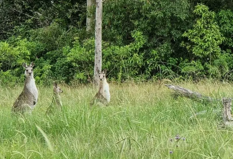 Motelli Vacy Hunter Valley Lodge