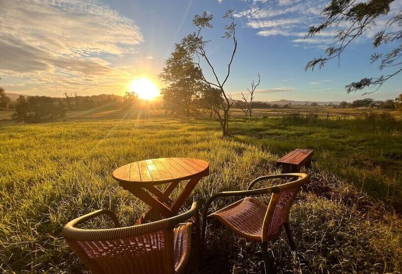 汽车旅馆 Vacy Hunter Valley Lodge