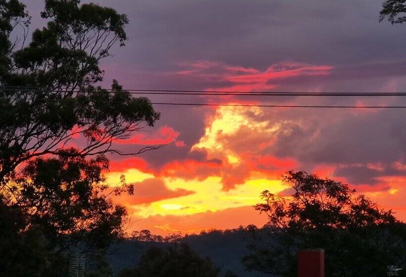 汽车旅馆 Vacy Hunter Valley Lodge