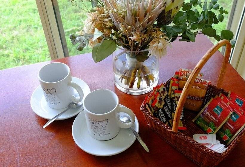 汽车旅馆 Vacy Hunter Valley Lodge