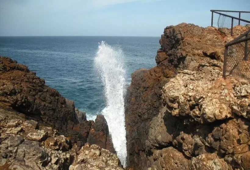 ペンション Eco Cabanas Marakolliya