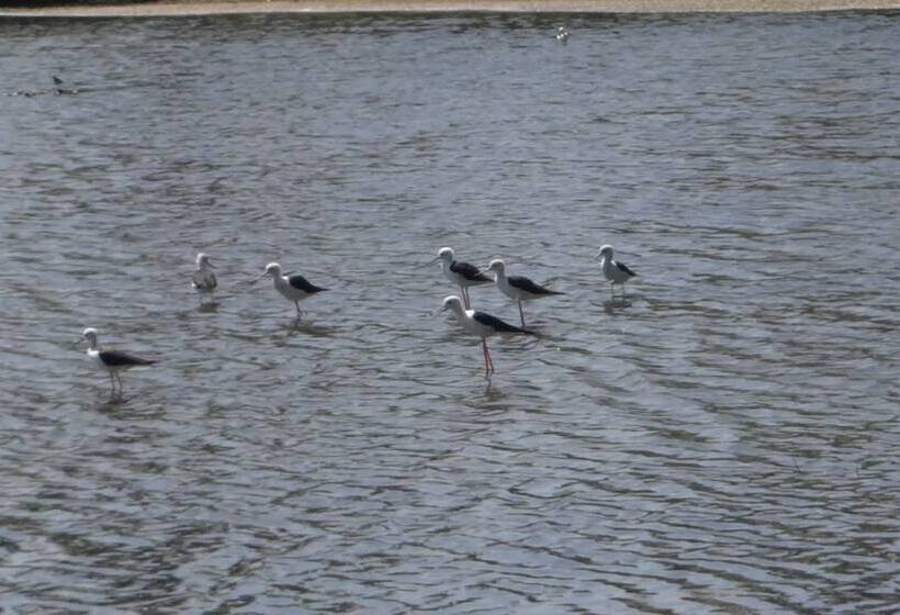 ペンション Eco Cabanas Marakolliya