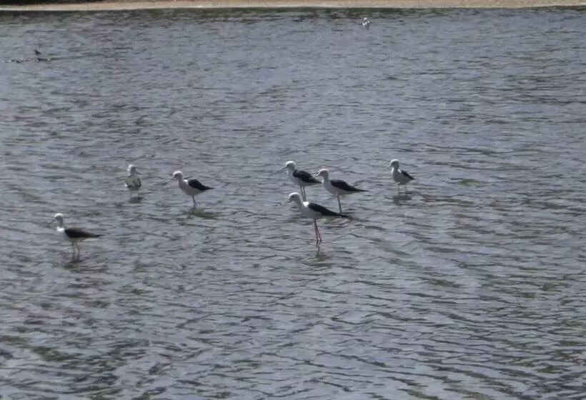 ペンション Eco Cabanas Marakolliya