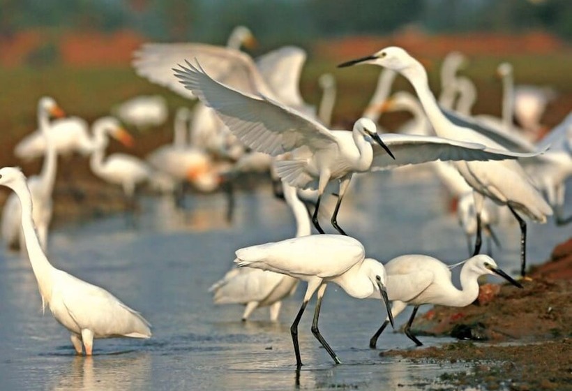 ペンション Eco Cabanas Marakolliya