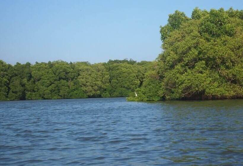 ペンション Eco Cabanas Marakolliya