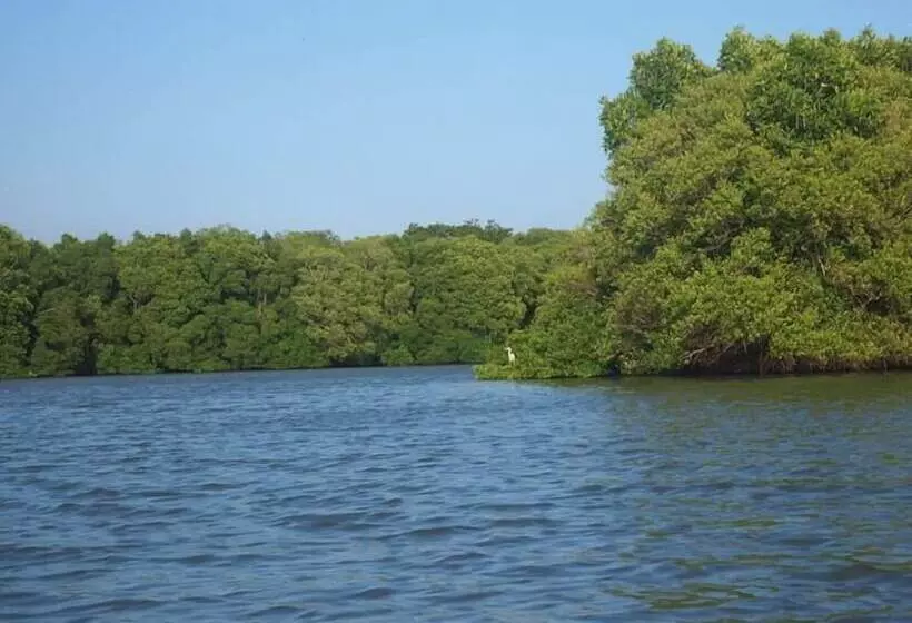 ペンション Eco Cabanas Marakolliya